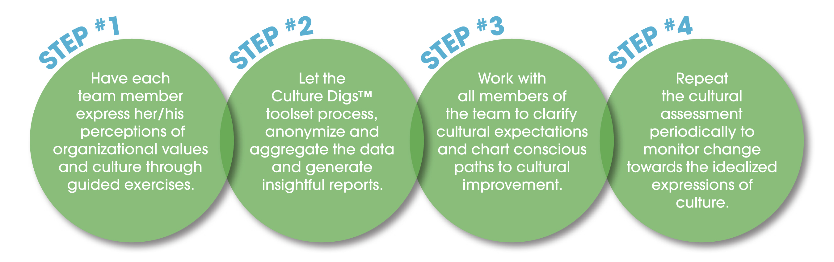 Culture Digs process flow